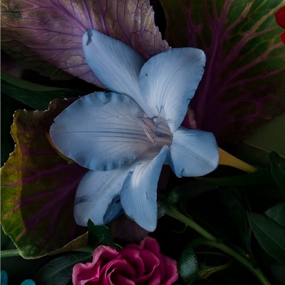 Meet your Posher, Patrice - Picture 1 of 1